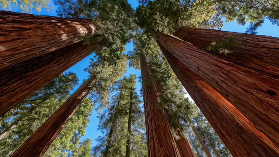 NationalPark